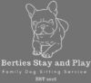 Berties Stay and Play